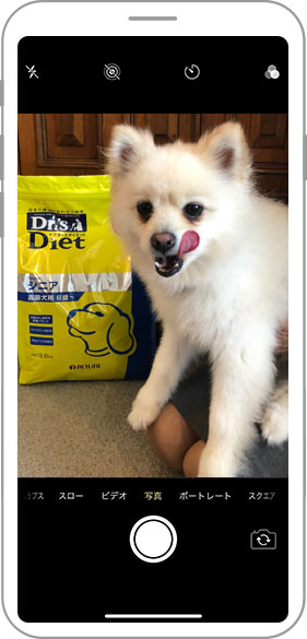 Instagramキャンペーンlp どうぶつ病院宅配便 直販