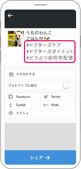 Instagramキャンペーンlp どうぶつ病院宅配便 直販