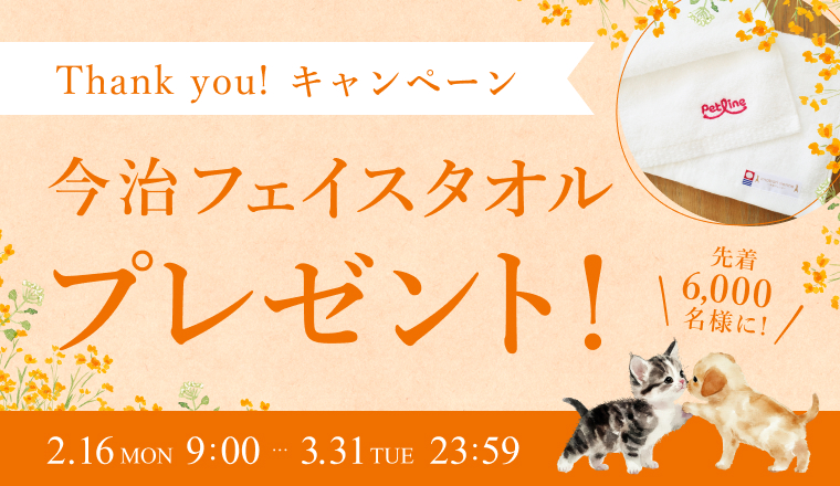 今治フェイスタオルをプレゼント！