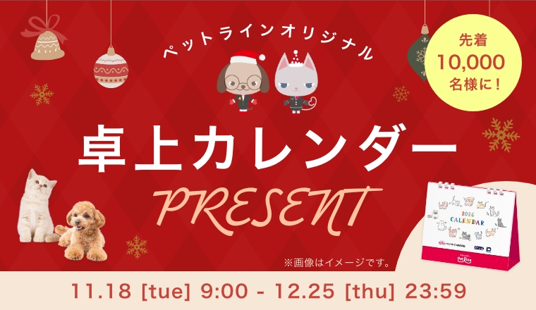 ホリデーキャンペーン開催中